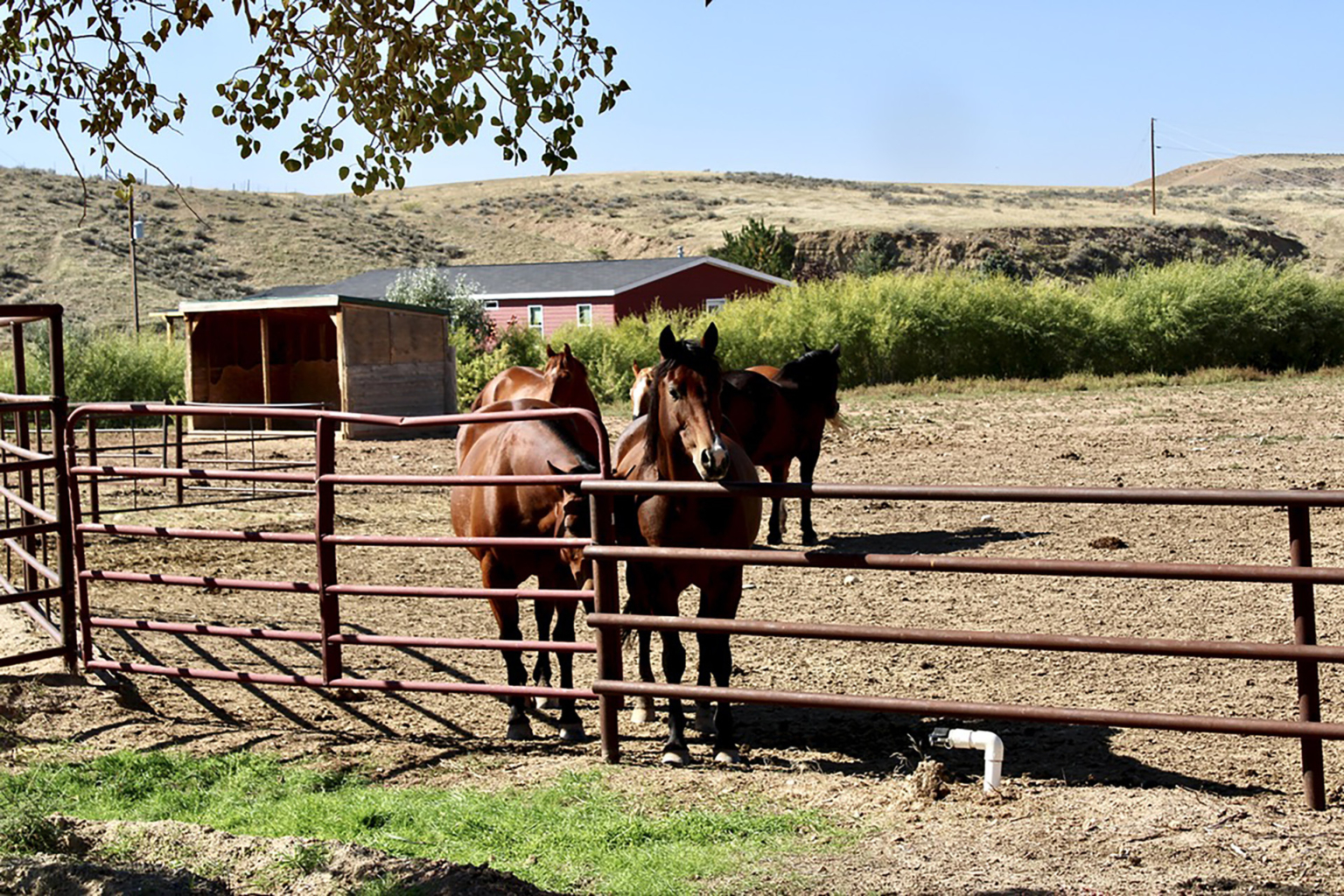 Broken Spoke Ranch Greybull Wyoming Fay Ranches