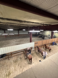 indoor arena montana buffalo jump equestrian estate