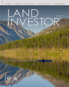 Land Investor Cover Vol 8