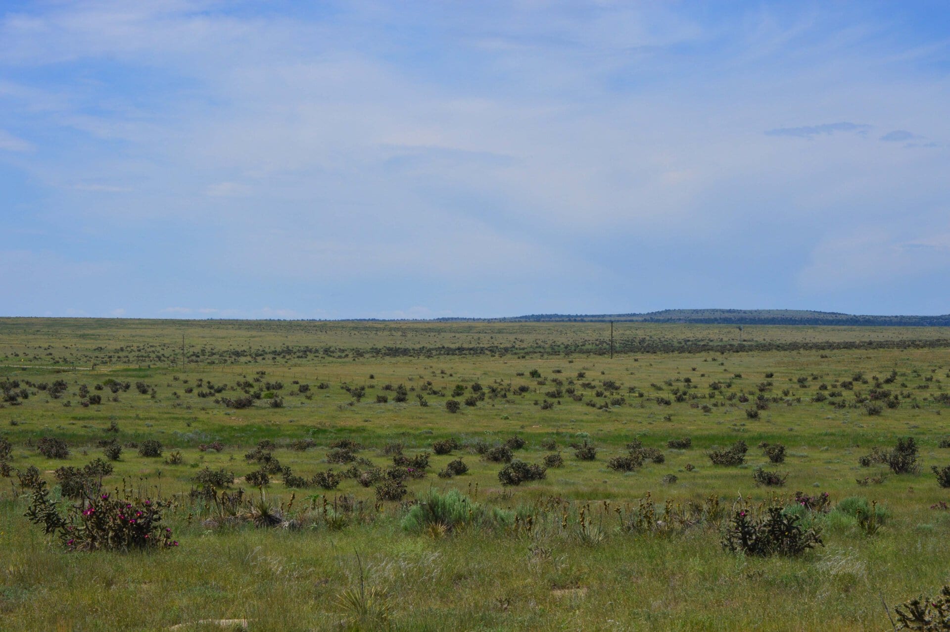 looking towards county road colorado saddoris ranch east