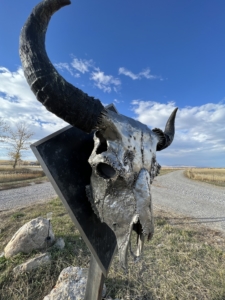 metal sky montana buffalo jump equestrian estate