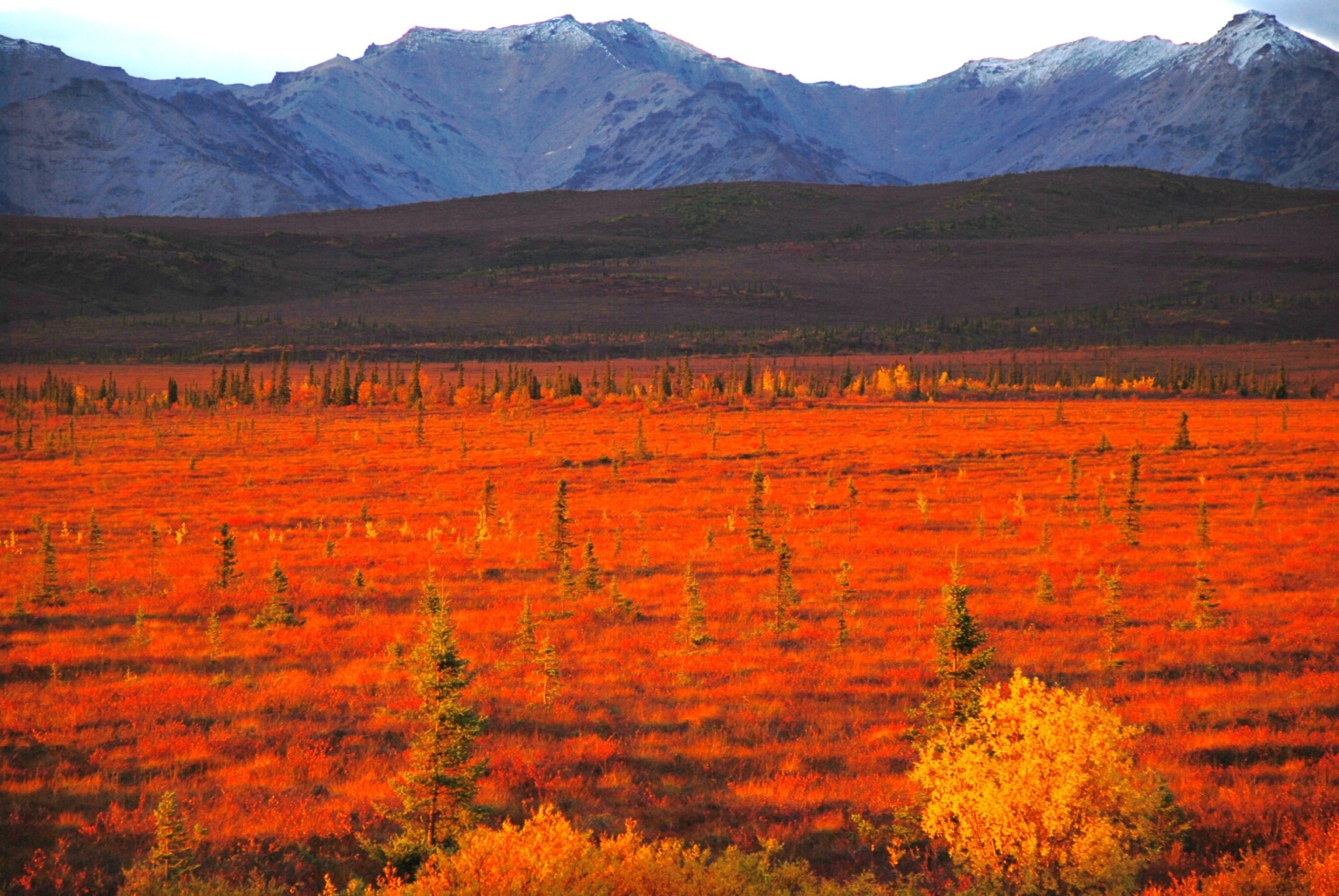 EarthSong Lodge Healy Alaska Fay Ranches