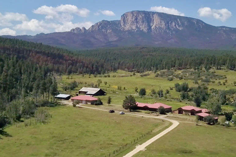 New Mexico Ranch Land Properties For Sale Fay Ranches