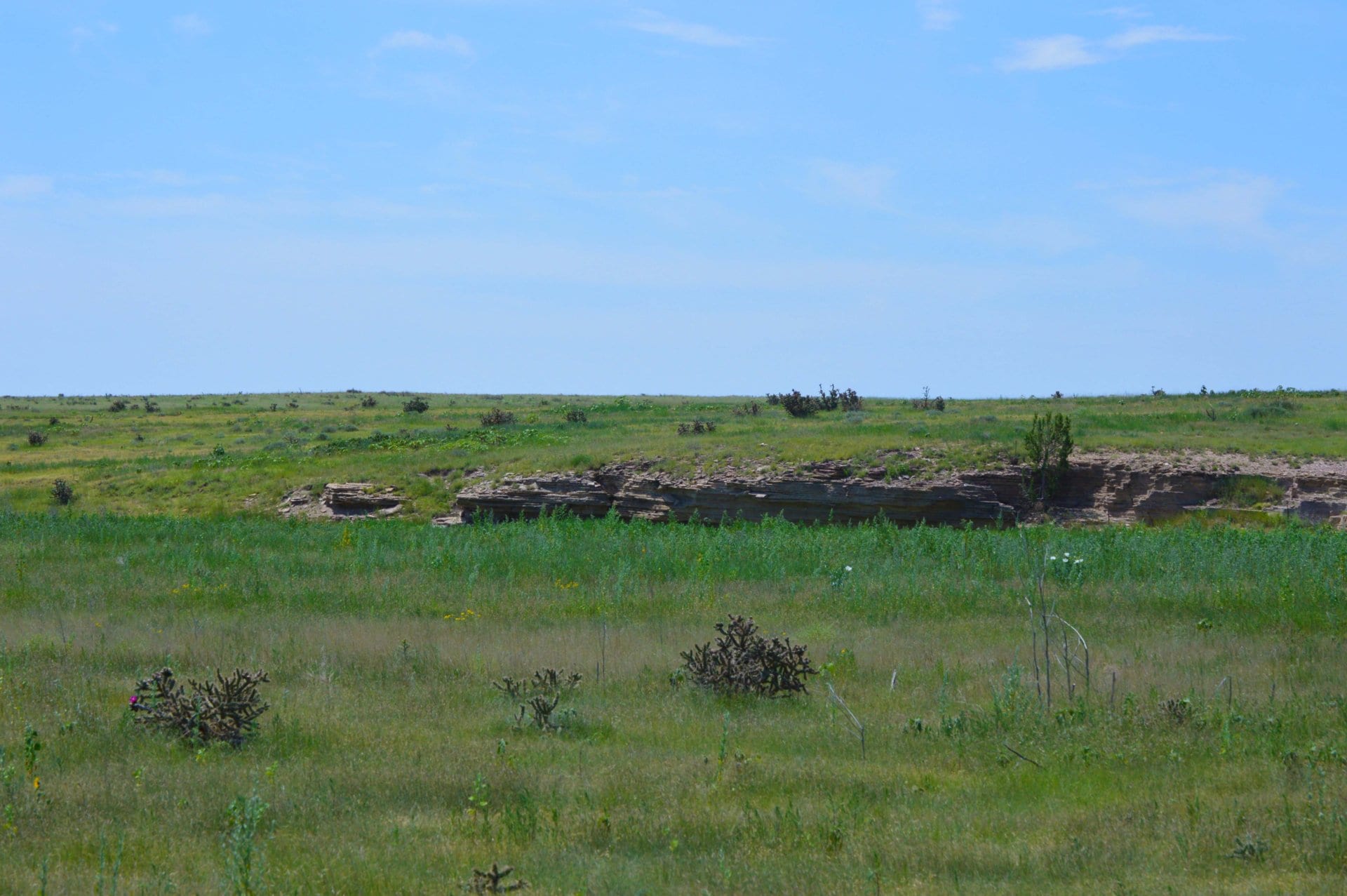 shale rock outcropping colorado saddoris ranch east