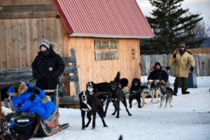 sled dog teams departing for rock the park television episode alaska earthsong lodge