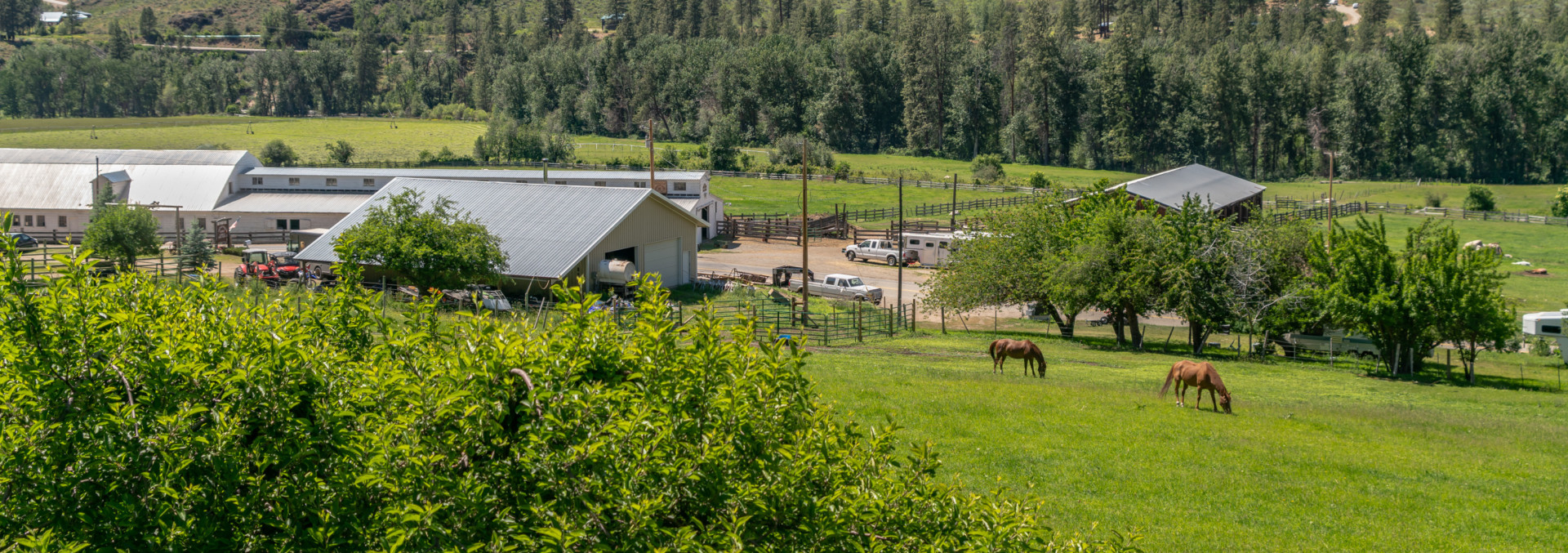 washington ranches for sale chewack river ranch