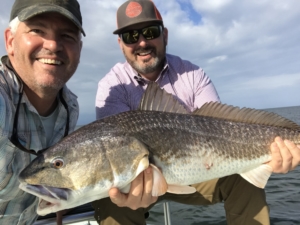 Close Up Fish - Louisiana - 2017