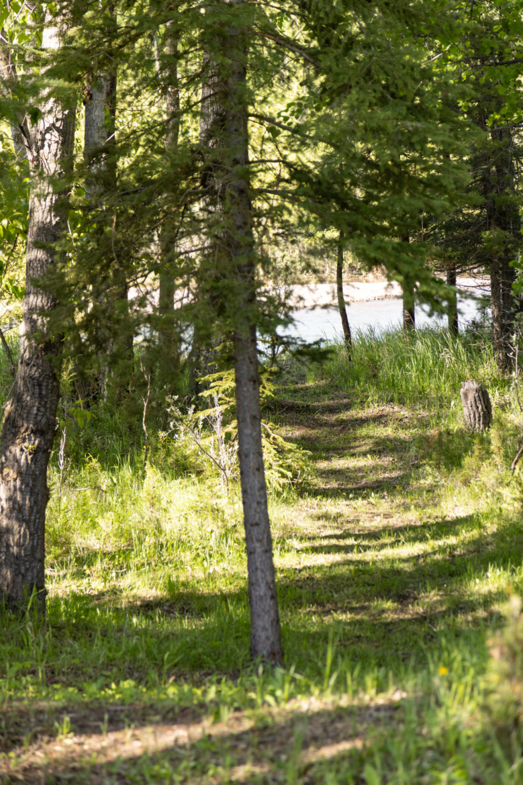 Blackfoot River Retreat Lincoln Montana Fay Ranches