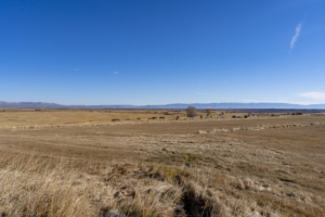 horse ranch colorado north fork river ranch