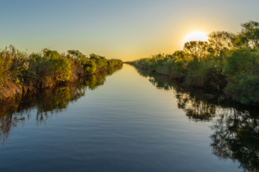 louisiana waterfowl hunting property for sale commissary point