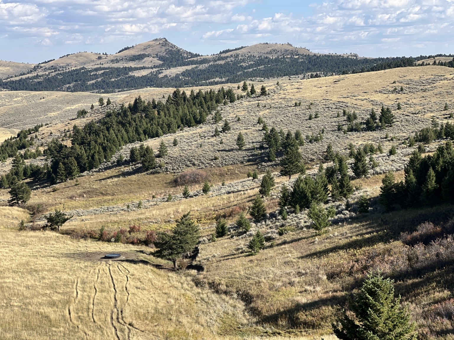 Leffingwell Ranch Clyde Park Montana Fay Ranches