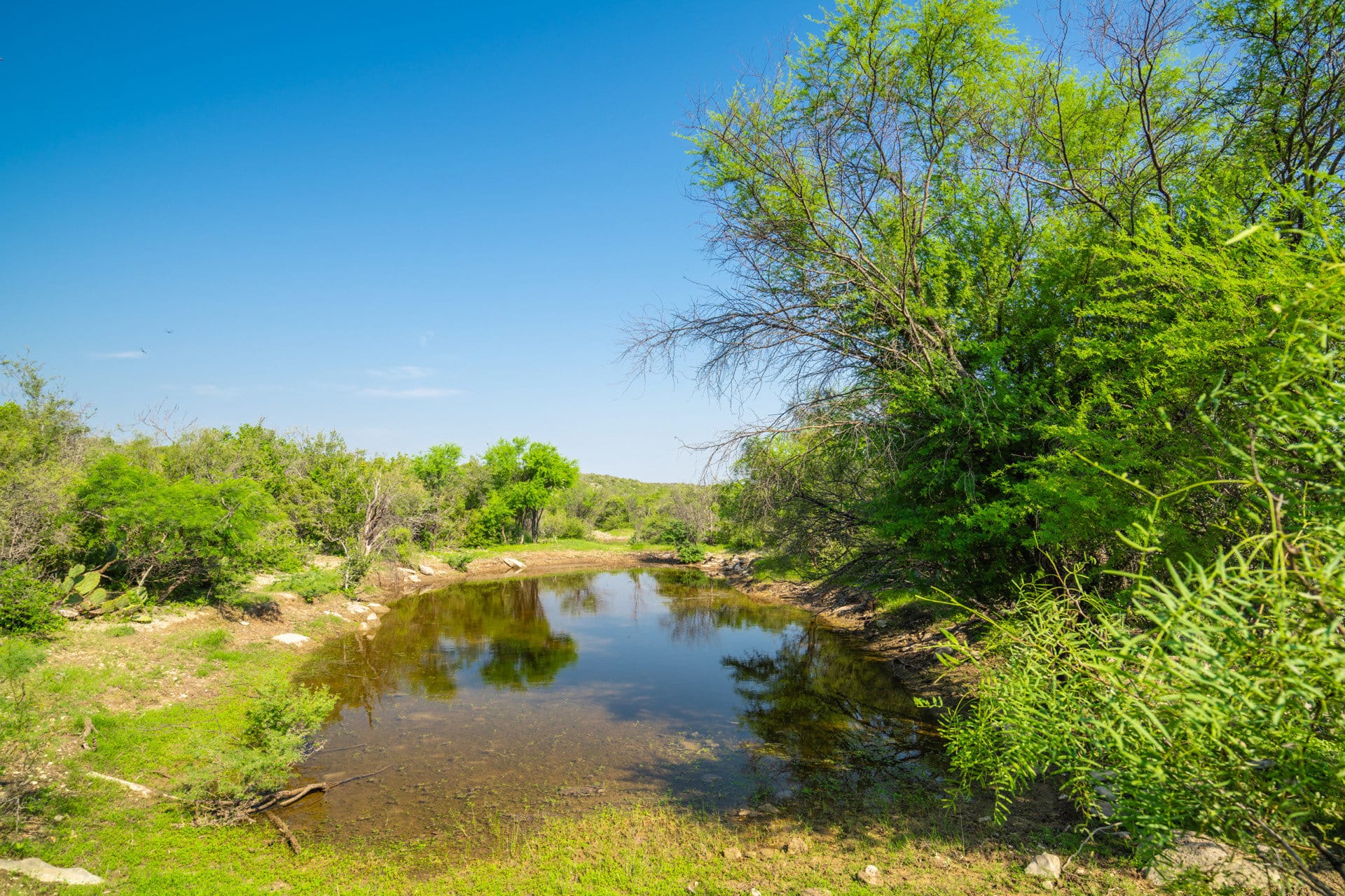 pond texas evans creek ranch