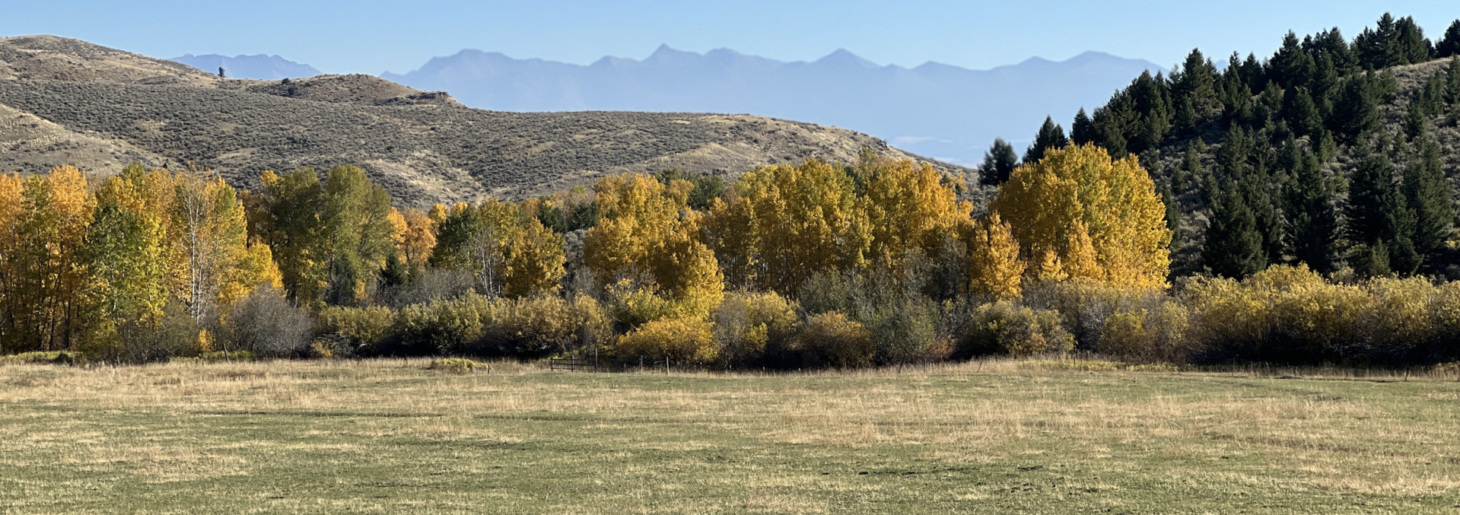 Leffingwell Ranch Clyde Park Montana Fay Ranches
