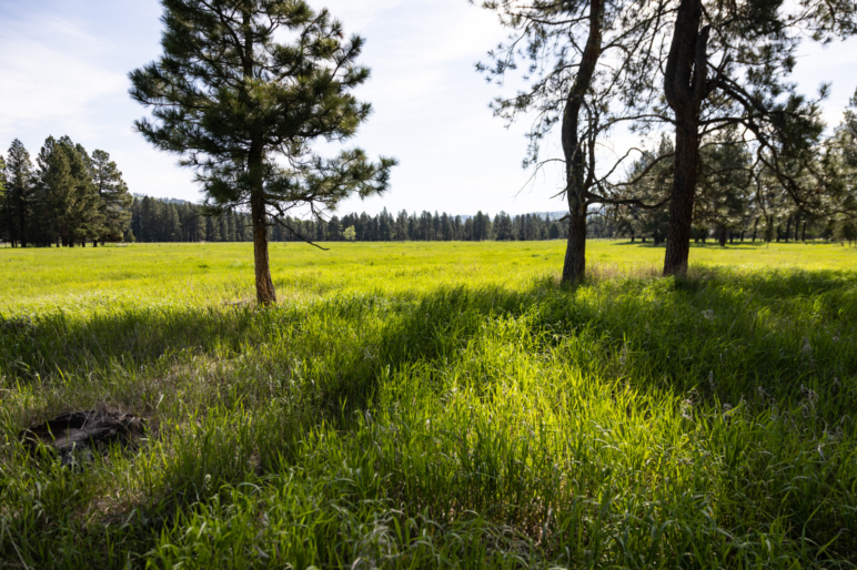 Blackfoot River Retreat Lincoln Montana Fay Ranches