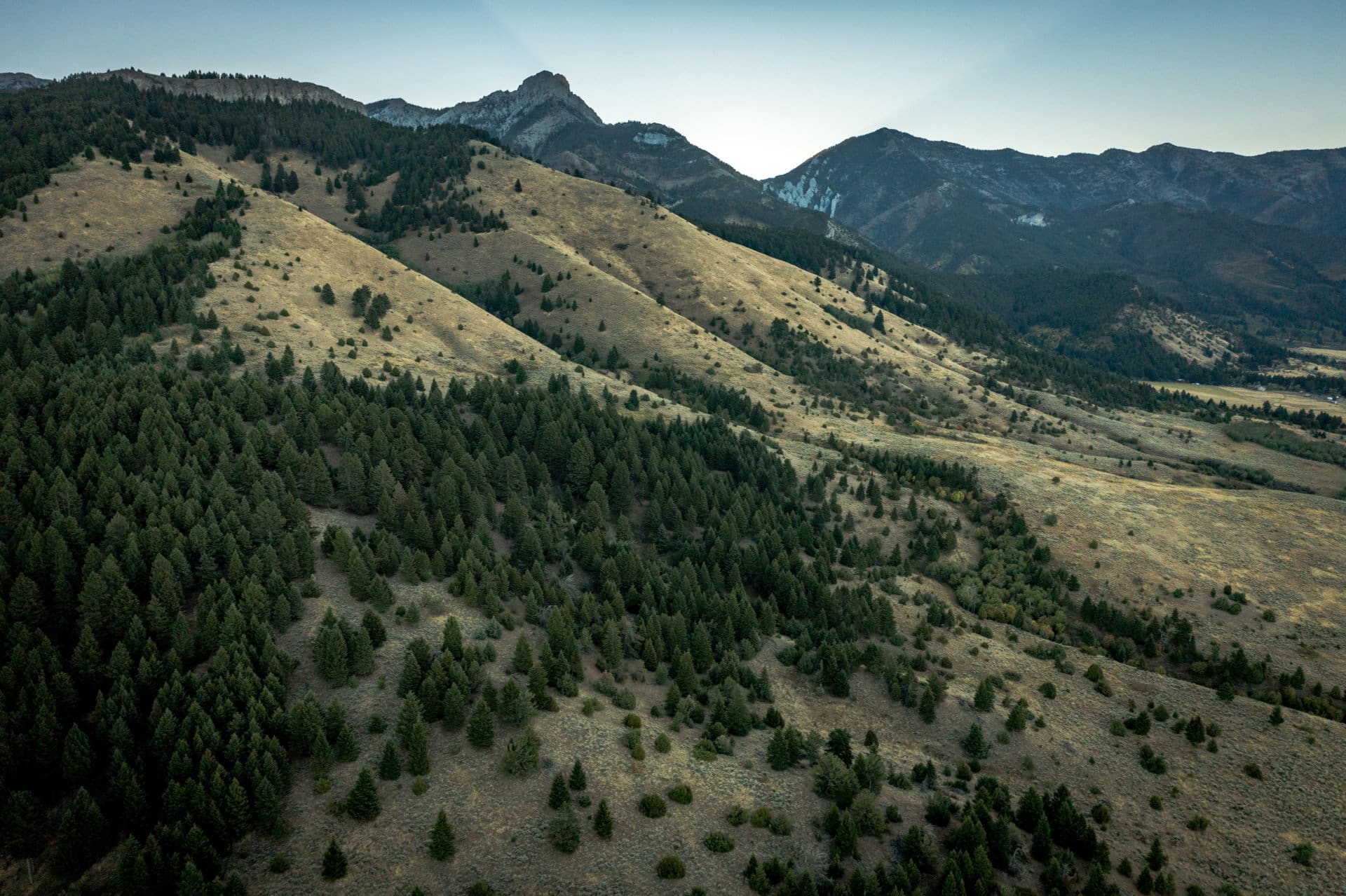 aerial ridge montana bridger foothills