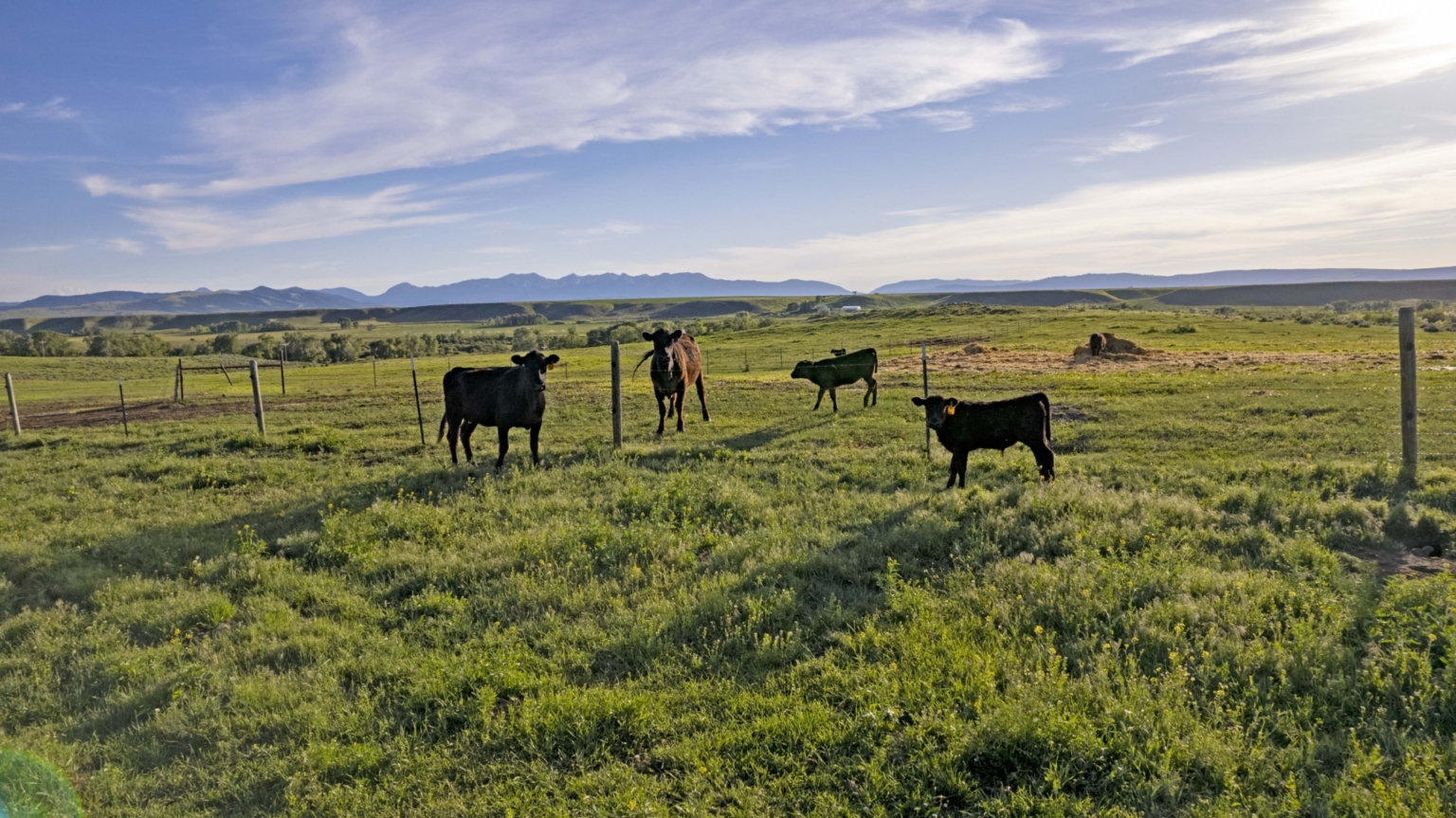 Elk Creek Ranch Wilsall Montana Fay Ranches