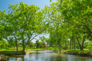 beautiful cove texas broad oaks ranch
