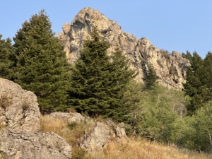 cliff green montana limestone cliff ranch