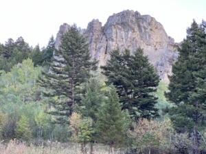 cliff trees montana limestone cliff ranch