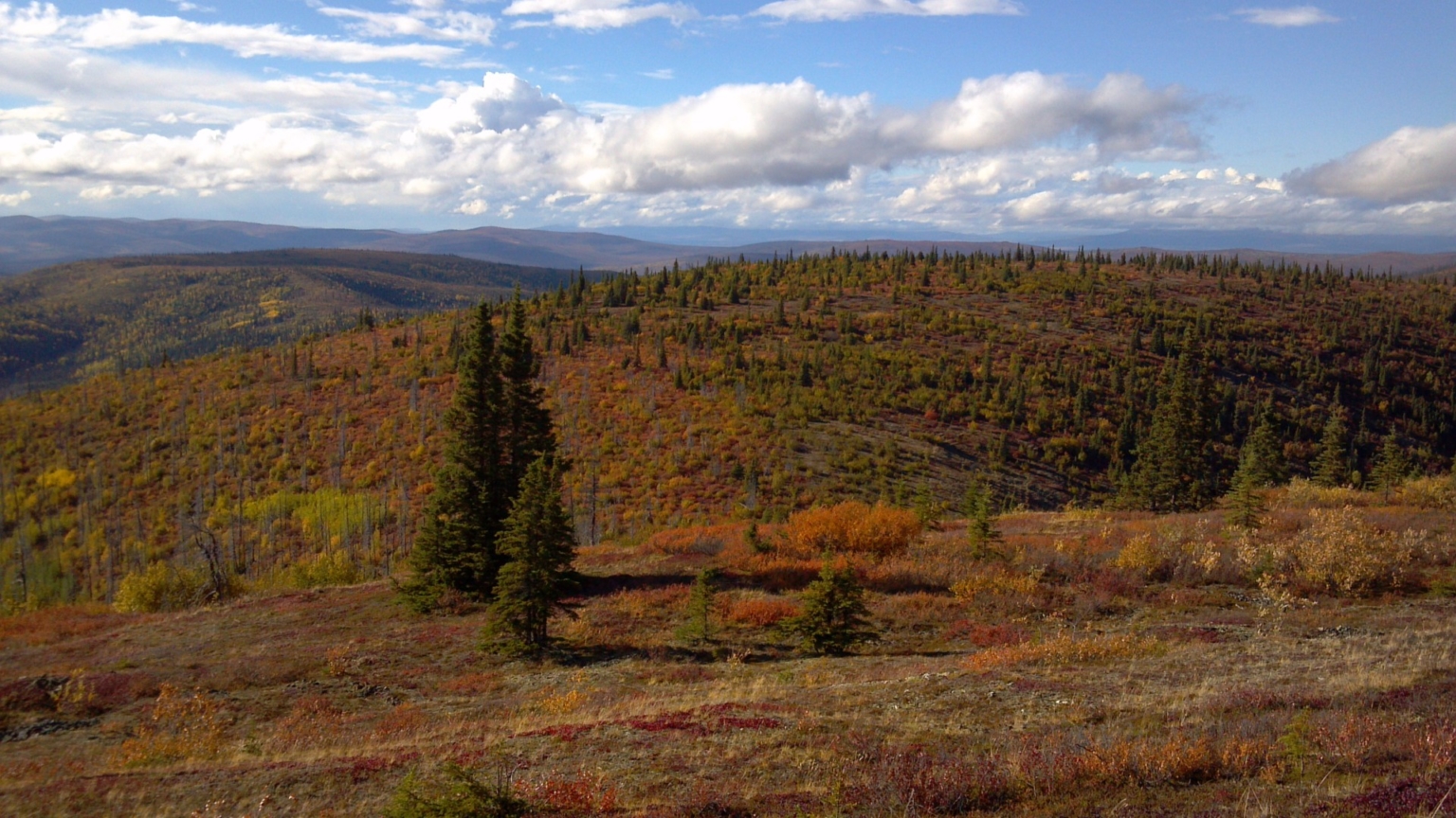 Fortymile River Gold District | Tok Alaska | Fay Ranches