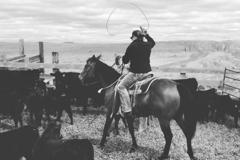 kelsea vaughan wyoming ranch land broker roping cows