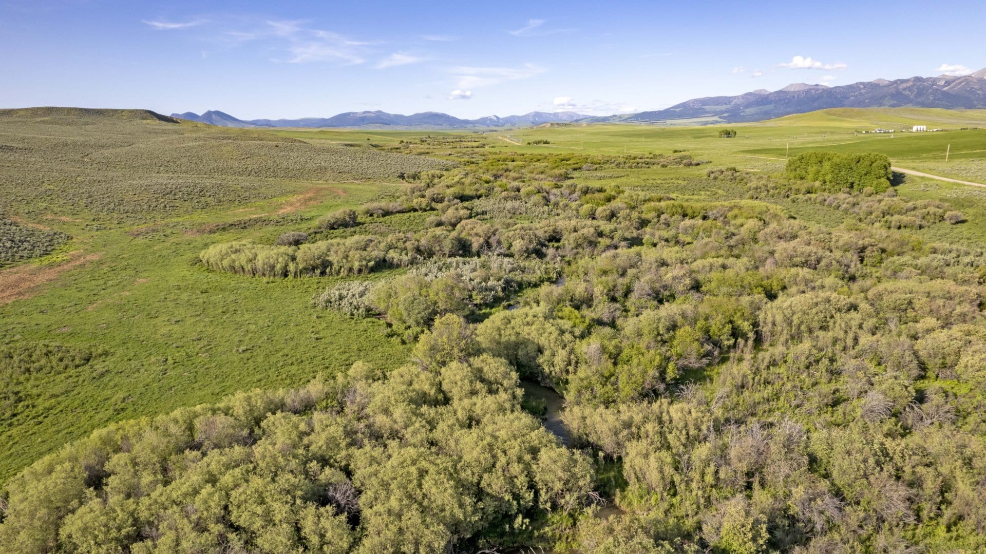 lots of green montana elk creek ranch