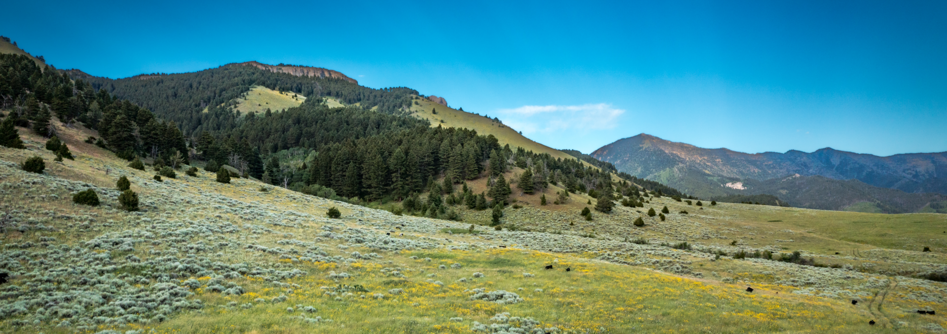 montana land for sale bridger foothills