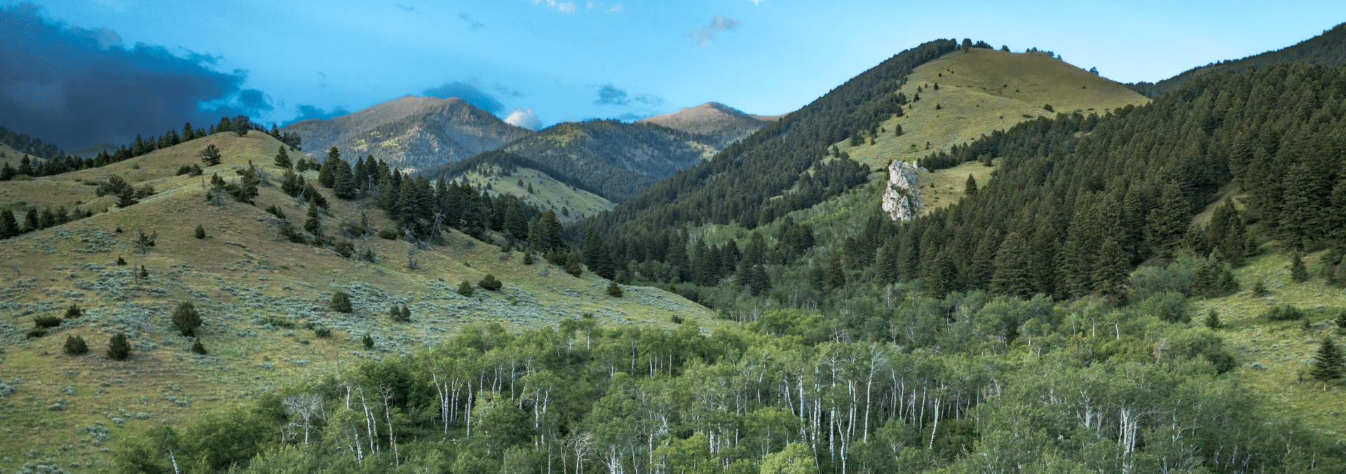 montana land for sale limestone cliff ranch