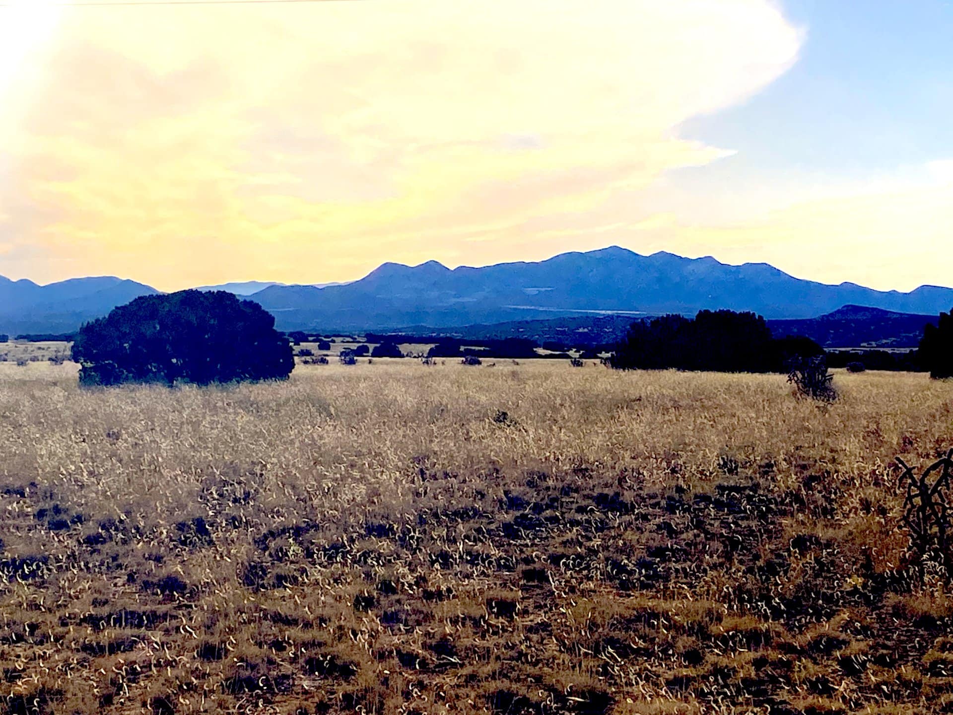 ortiz sundown new mexico tranquila ranch