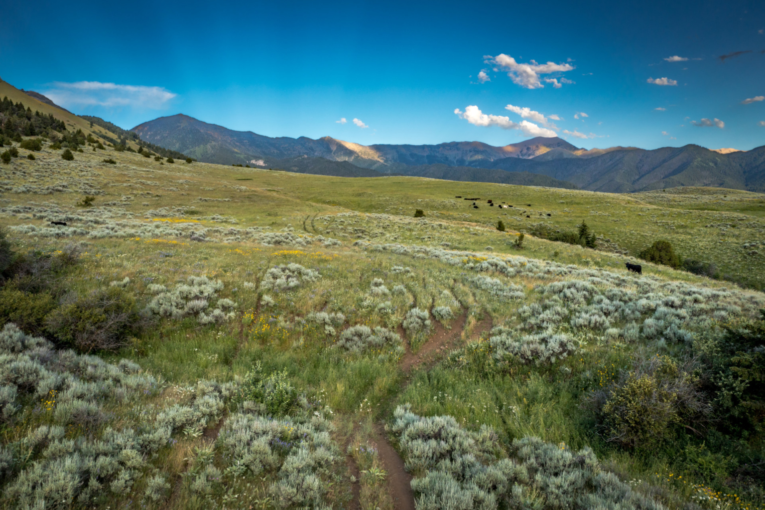 Bridger Foothills | Belgrade Montana | Fay Ranches