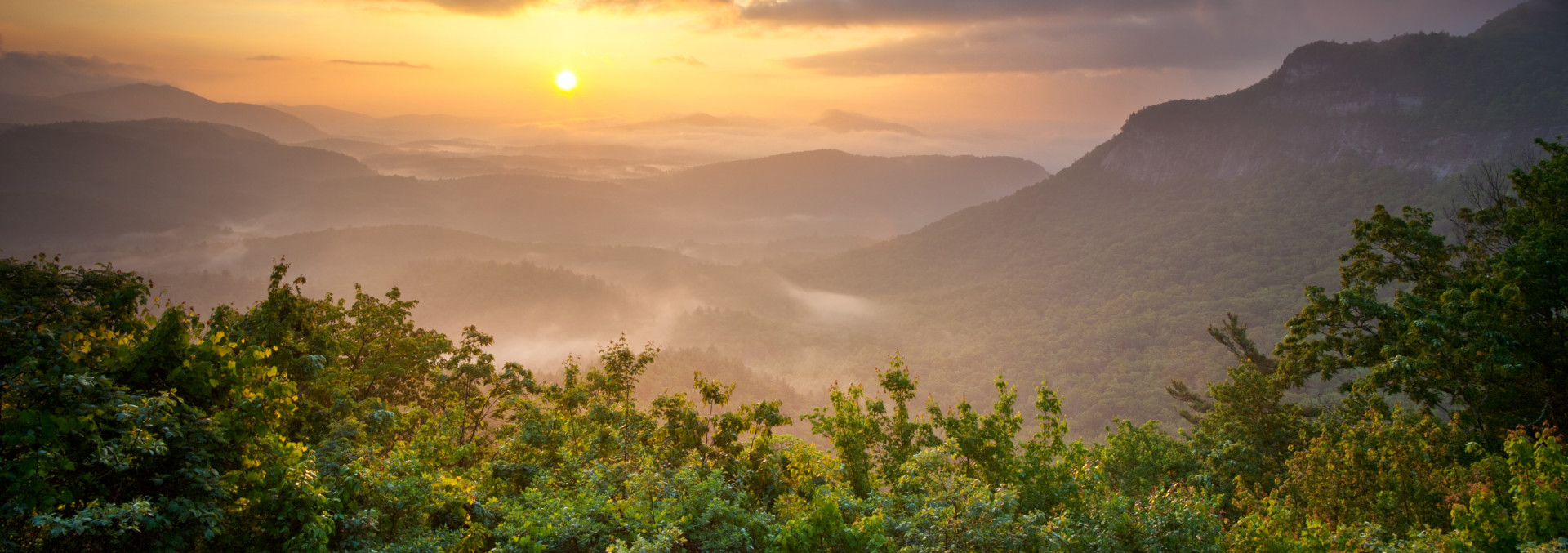 south carolina property for sale