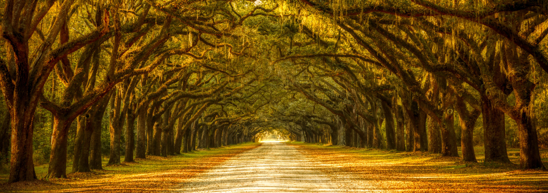 southeast property for sale