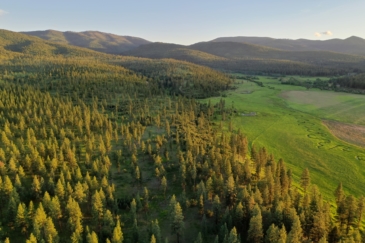 timber land for sale montana ashby creek ranch