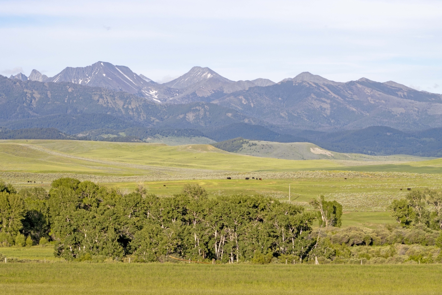 Elk Creek Ranch | Wilsall Montana | Fay Ranches