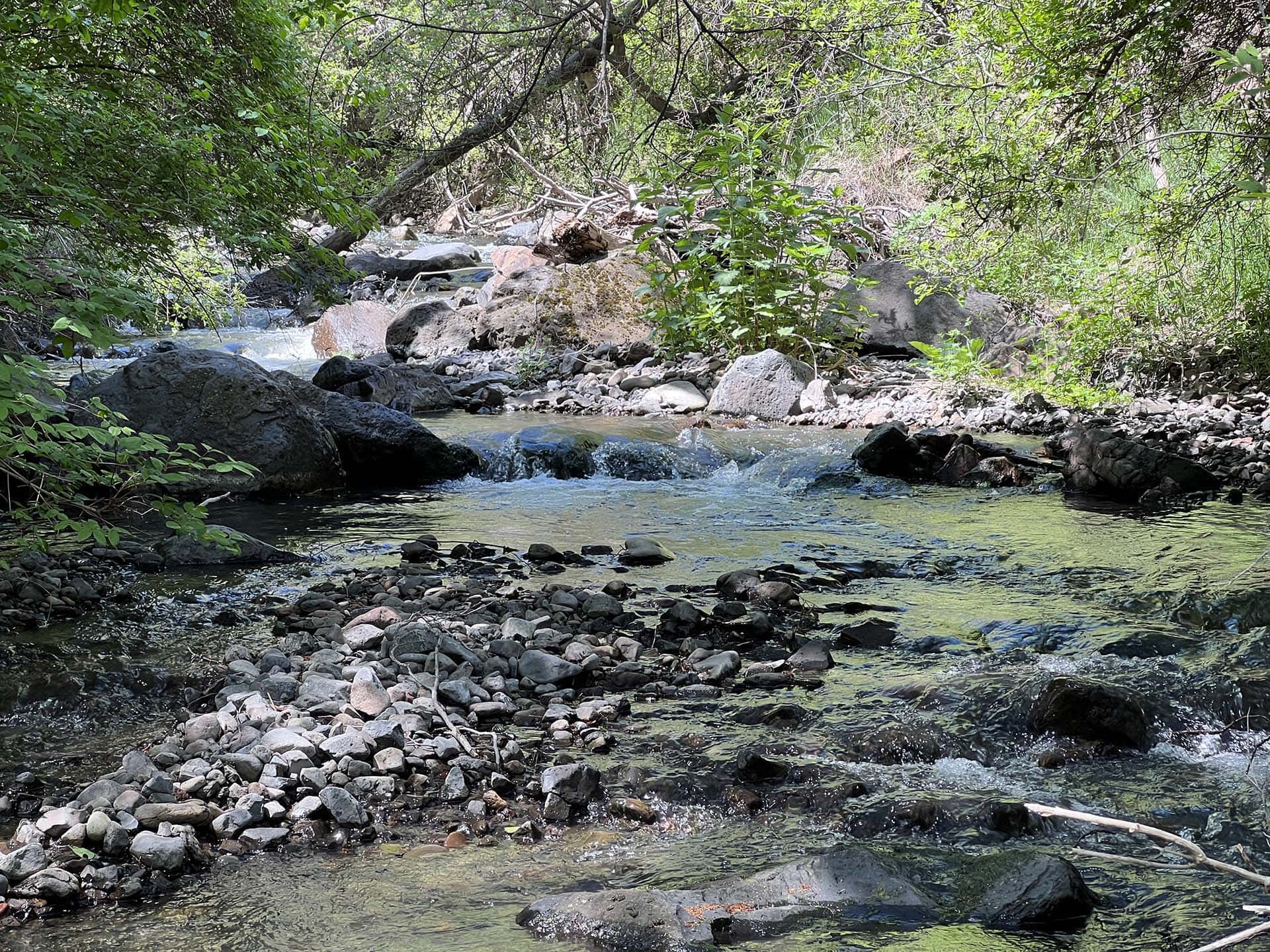 babbling brook Washington 10 Mile Creek ranch