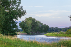fly fishing montana big hole river retreat
