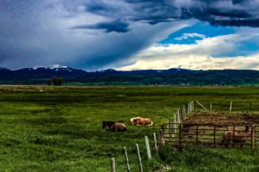 idaho cattle ranches for sale diamond heart ranch
