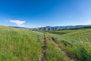 Access Road Washington Entiat Mesa Ranch
