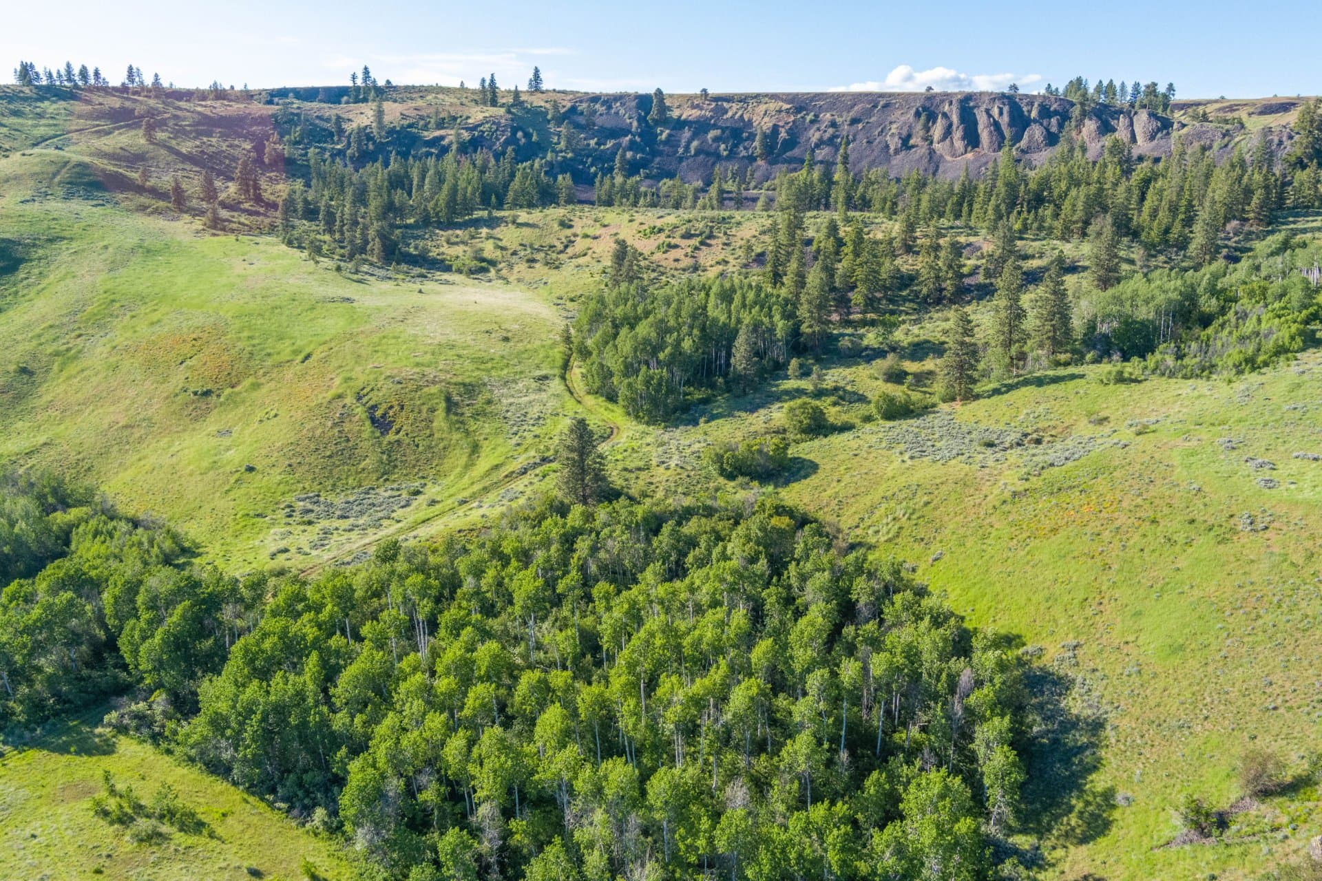 Aspen Topography Washington Entiat Mesa Ranch