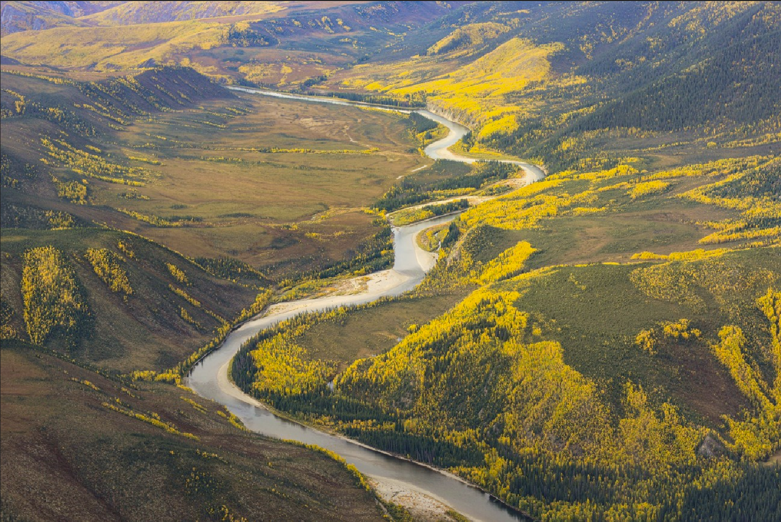 Charlie river fall colors alaska woodchopper gold claim - photo by NPS Josh Spice