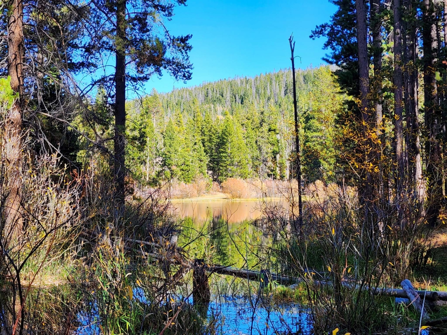 Sundance Ranch on La Marche Creek Wise River Montana Fay Ranches