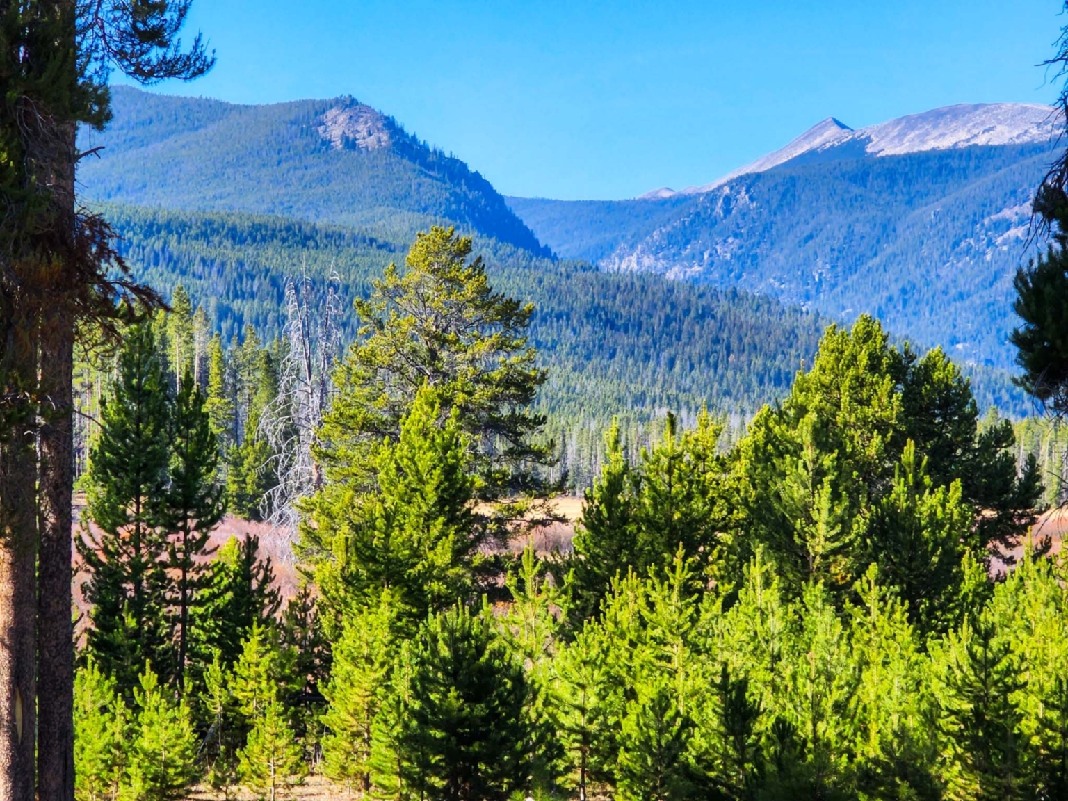 Sundance Ranch on La Marche Creek Wise River Montana Fay Ranches