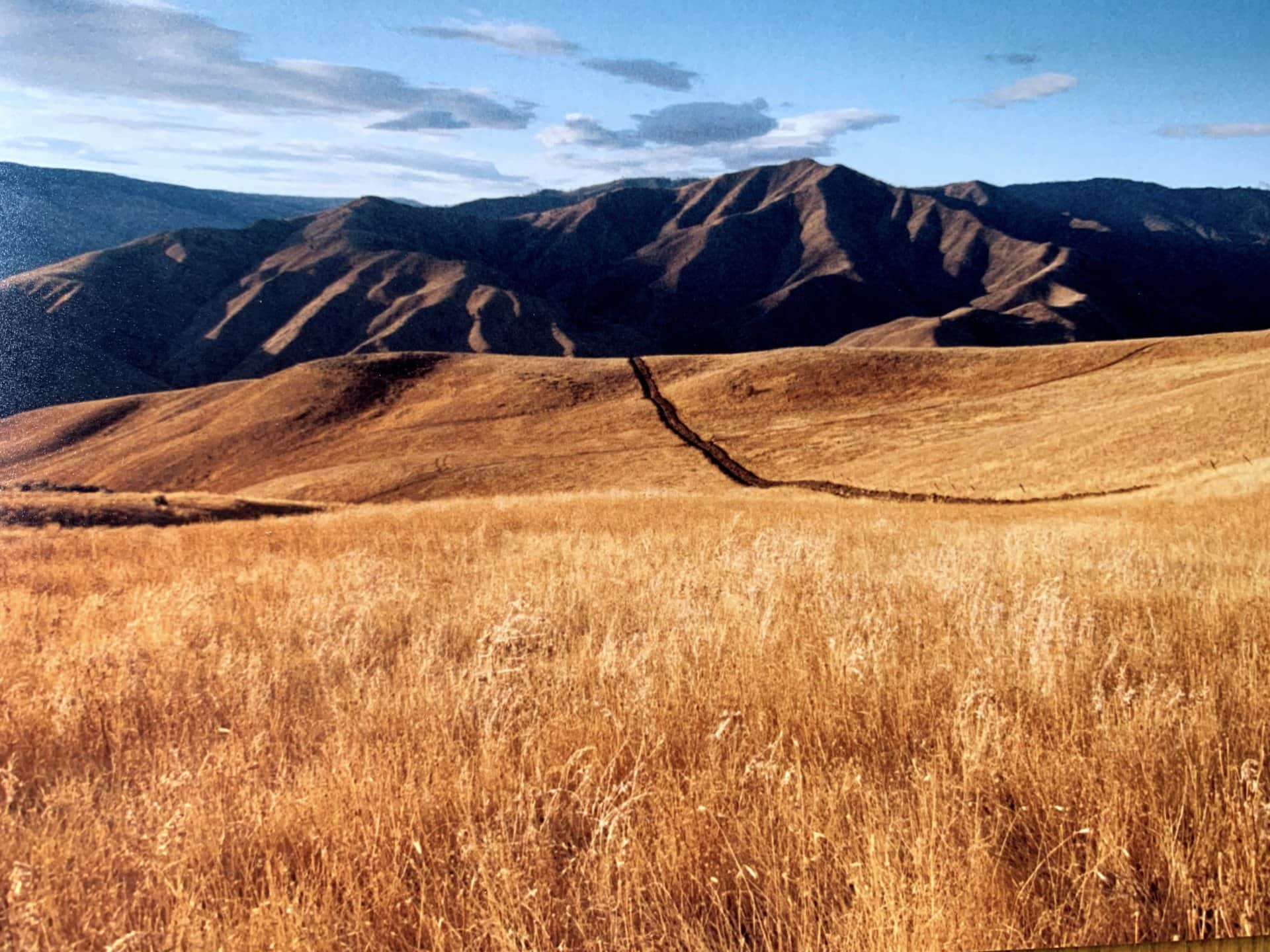Grass Plateau Washington Entiat Mesa Ranch