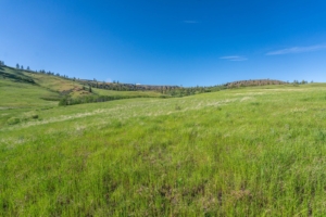 Grassy Hillside Washington Entiat Mesa Ranch