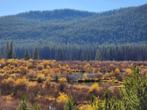La Marche Creek and Beaver Ponds Montana Sundance Ranch on La Marche Creek
