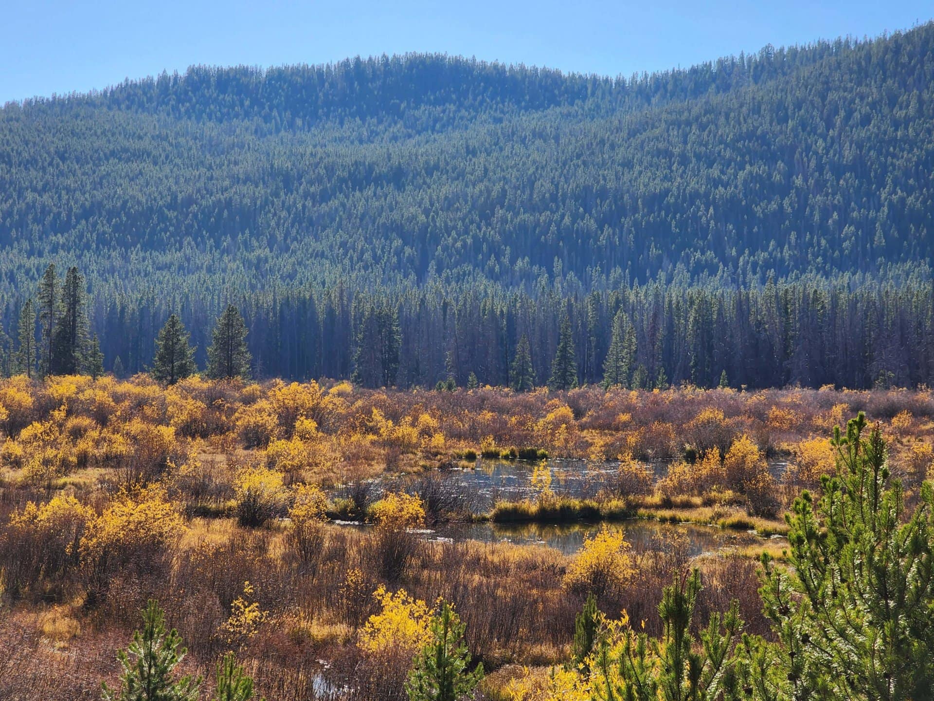 La Marche Creek and Beaver Ponds Montana Sundance Ranch on La Marche Creek