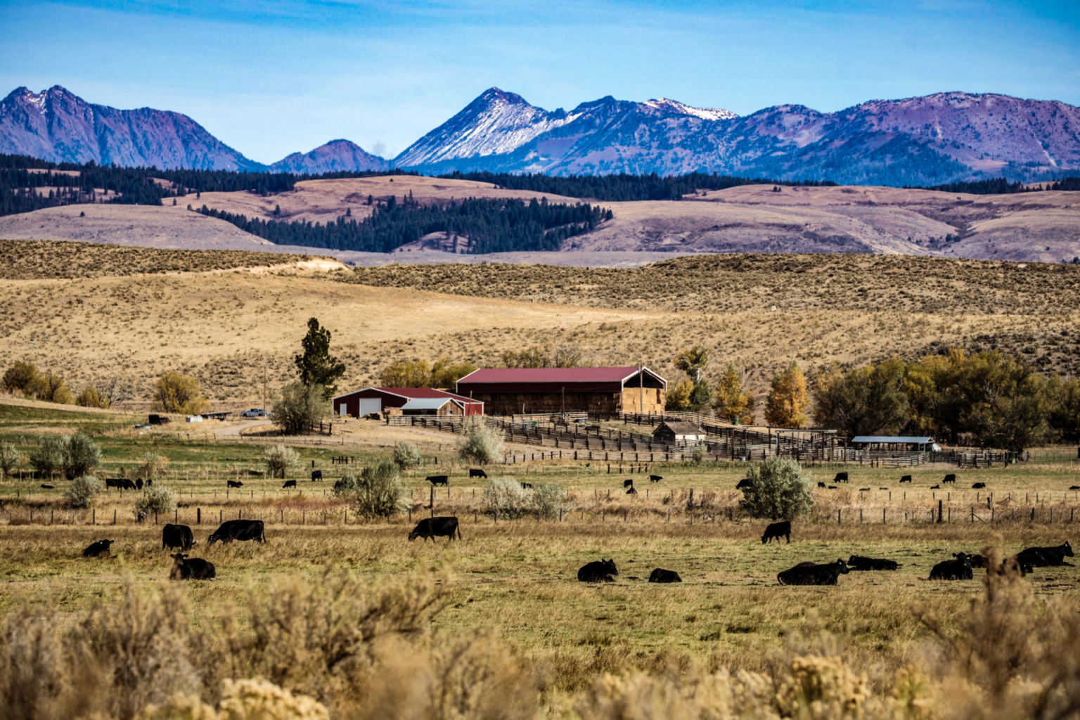 Keating Valley River Ranch 