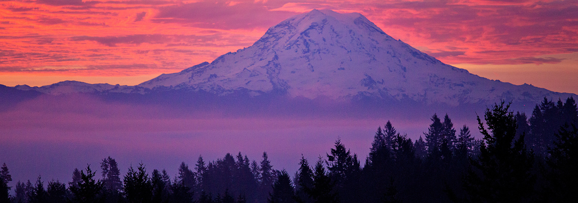 washington properties for sale featured image