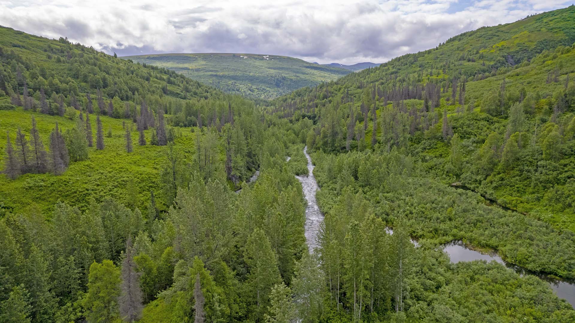 aerial river view alaska mcwilliams gold claim