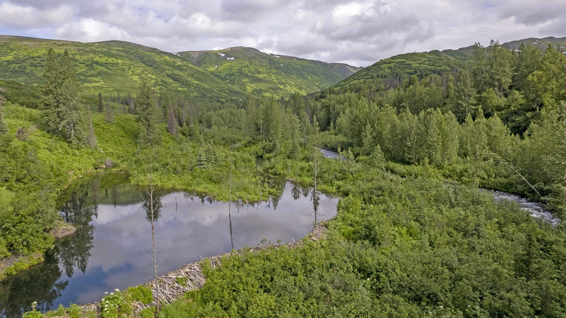 beaver pond river alaska mcwilliams gold claim